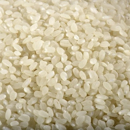 Round Rice 5kg - RIZ DU MONDE
