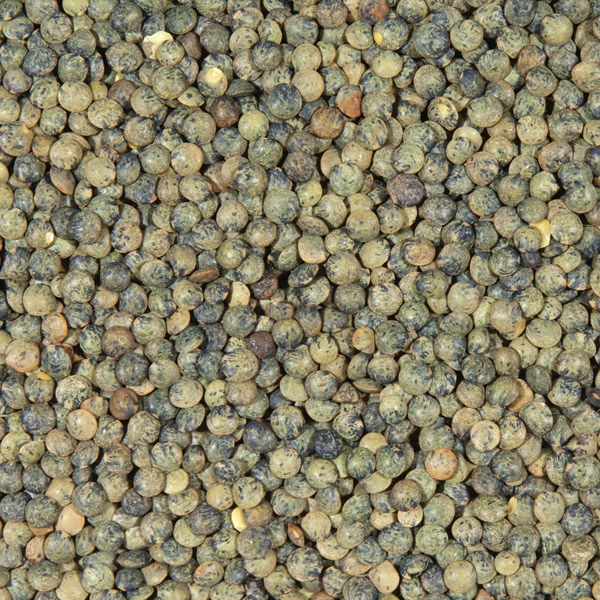 Lentilhas Verdes 10kg - Legumor