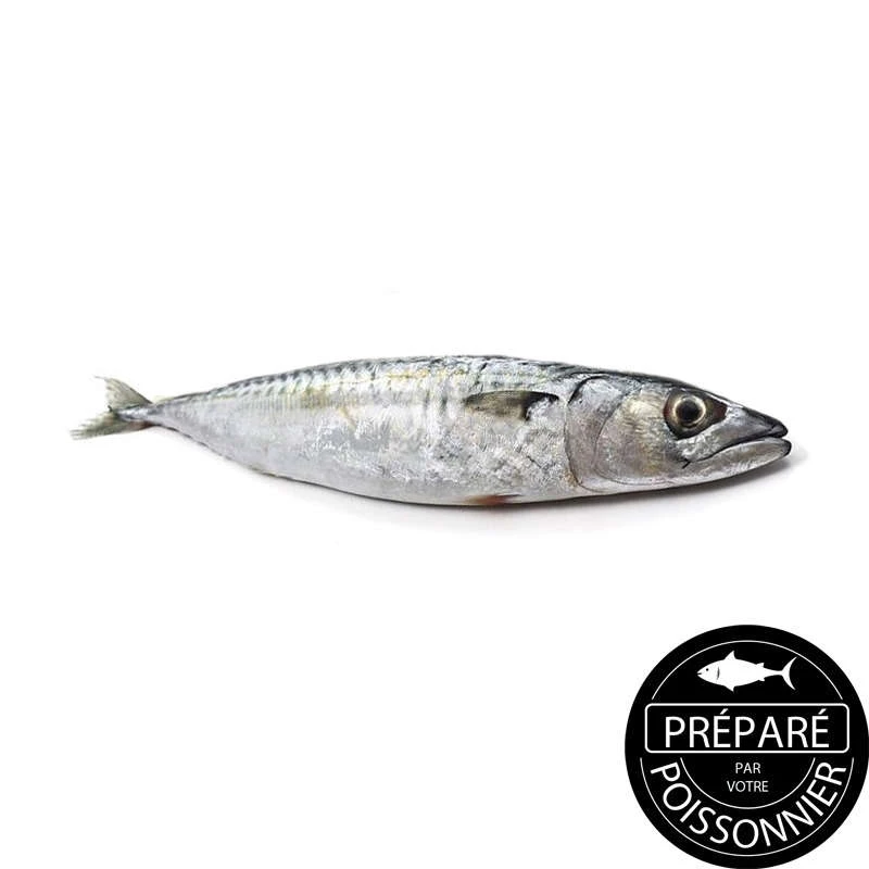 Granulés Coulants Aromatisés Maquereau 5kg Pour Pêche à La Carpe - 8mm, Appât Négatif