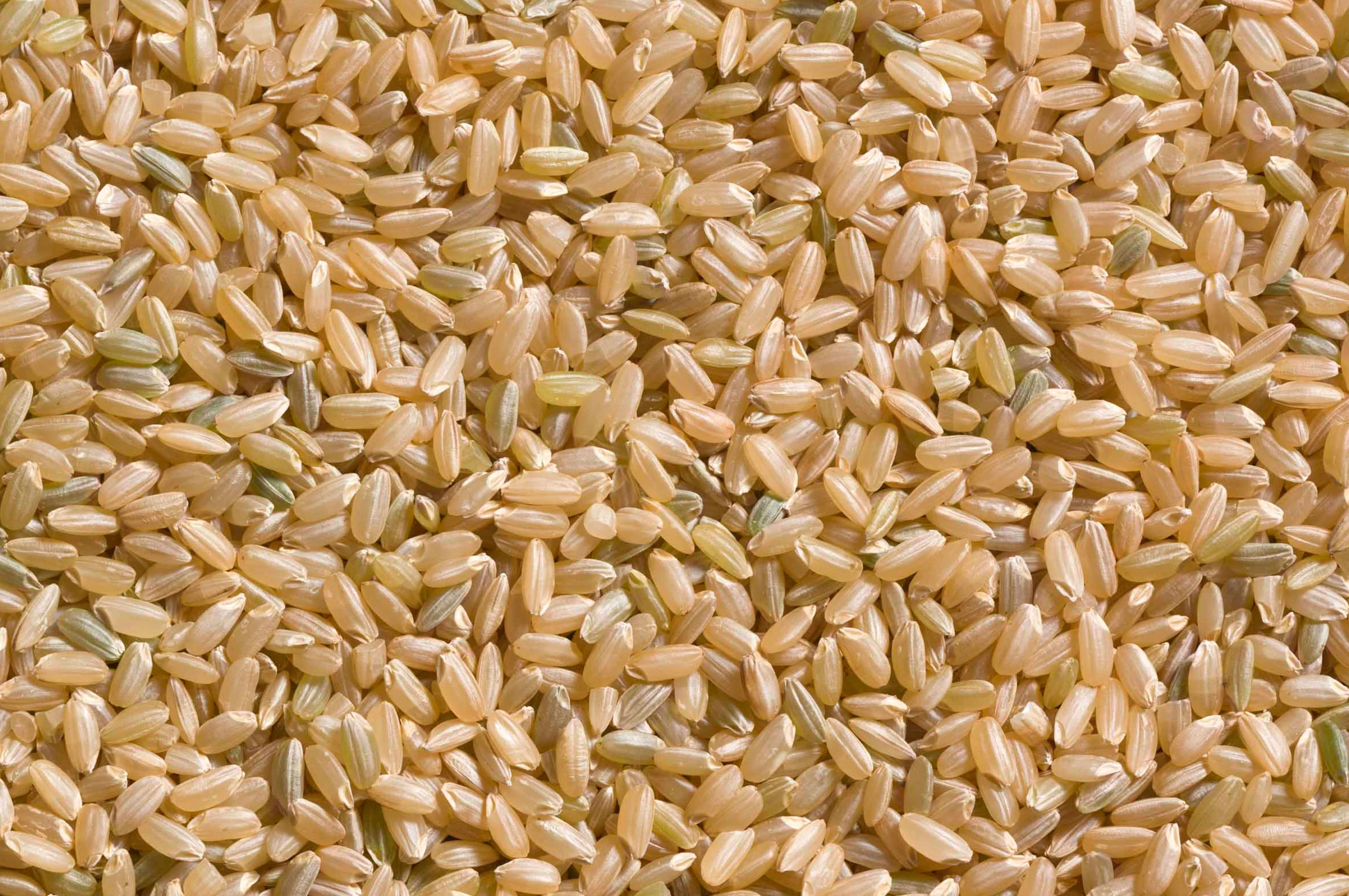 चावल कार्गो, 25 किग्रा - विश्व का चावल