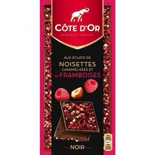 Tablette de chocolat noir noisettes framboises 100g - COTE D'OR