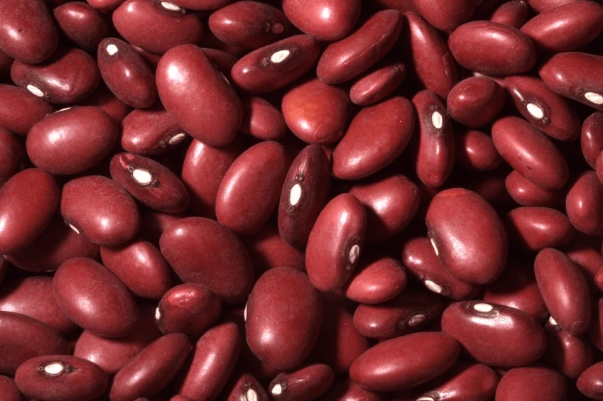 Red beans 1kg - LEGULMOR