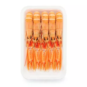 Langoustine Cuite 20/30 Kg