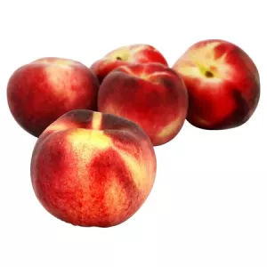 Weiße Angelmasse pro kg - AUTRES MARQUES