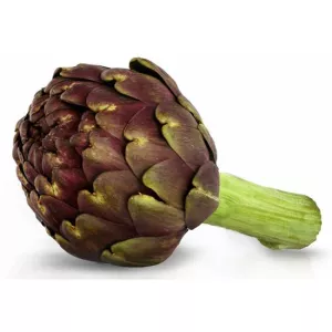 Artichaut Violet Piece