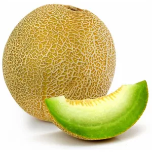 Melon Galia Piece