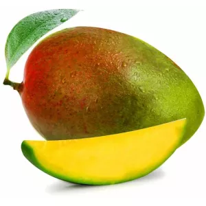 Mangue stuk - AUTRES MARQUES