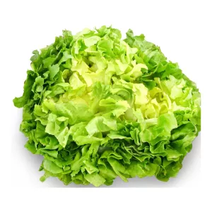 Kipande cha Scarole - AUTRES MARQUES