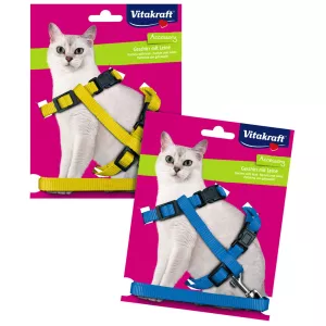 Harnais Et Laisse Pour Chat