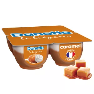 Danette Liegeois Caramel 4x100