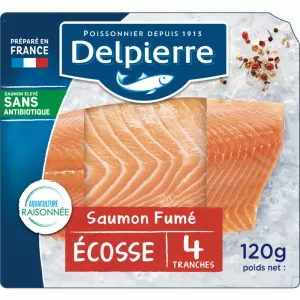 एसएफ इकोसे 4टीआर 120 ग्राम