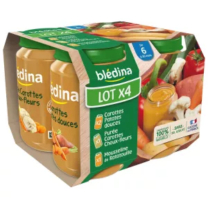 Pots diverses saveurs dès 6 mois 4x200g - BLEDINA