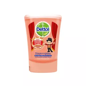 250ml rech sav no-touch xt hyg - Dettol