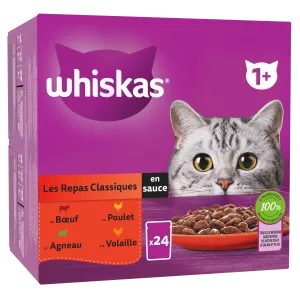 Whi Sf Repas Cổ Điển Sce 24x85