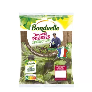 Salada do dia brotos jovens