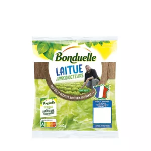 Laitue 140g Salade De No Produ