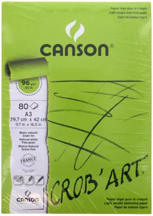 Bl 80fl A3 96g Croquis