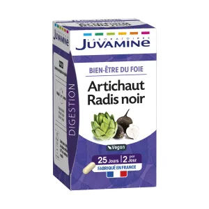 Spijsvertering X50-capsules - Juvamine