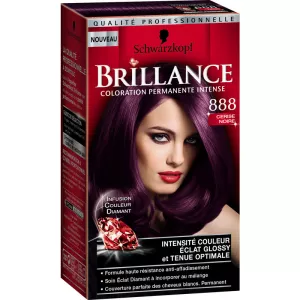 Brillance N888 Cerise Noire