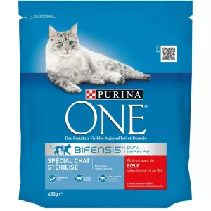निष्फल बिल्लियों/गोमांस के लिए क्रोकेट्स 450 ग्राम - PURINA ONE