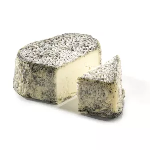 Coeur Tourain.ash Lp 15