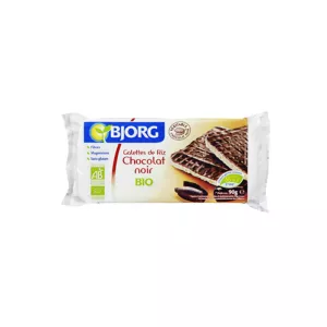 Fine Galet Choc Bjorg 100g Bio