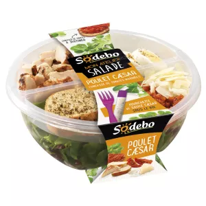 Xưởng Salad của tôi Plt Cesar24