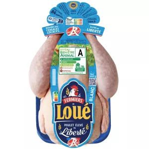 Kg white chicken lr rented