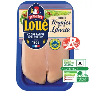 Kg Bq 2 Flt Plt Loue Blc S At