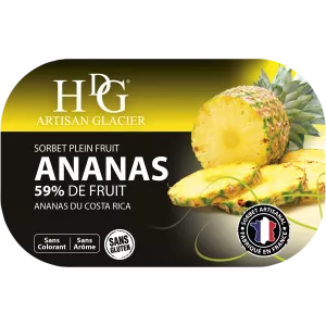 شربات الأناناس 487.5 جرام - Histoires De Glaces
