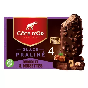 ダークチョコレートとヘーゼルナッツのプラリネ アイスクリーム 260g - Cote D'or