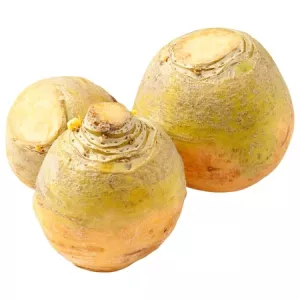 Navet Boule D Or Vrac Au Kg