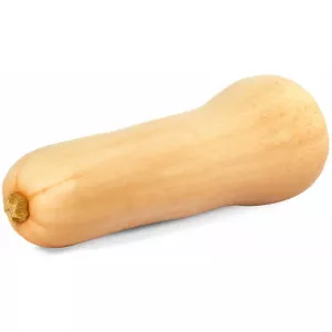 Pce Butternut Fr