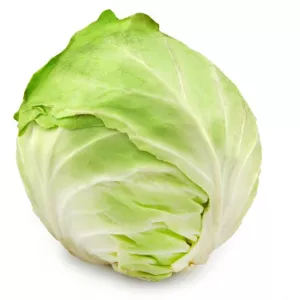 Pce Chou Blanc Fr X6