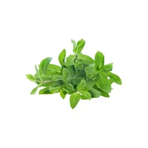 Frischer Minzstiefel - AUTRES MARQUES