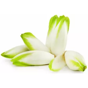 Bq Endivie Jne Pousse Fr - AUTRES MARQUES