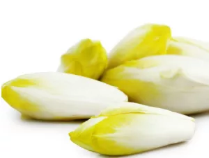 St 500g Endive Fr