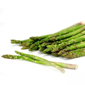 Bot 500g Asperge Verte Cee