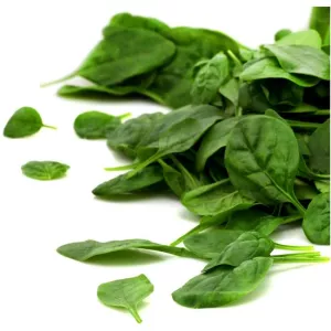 Bq 125g Jn Pousse Epinard 1 29