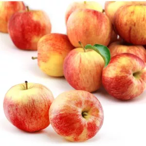 St 1 5kg Pomme Gala Fr