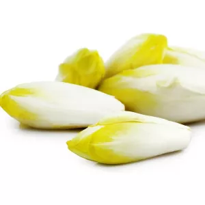 St 1kg Endive Fr