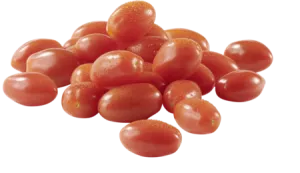 Bq400g Tt Cer Prd Fr