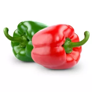 St Poivron Bicolore Hf