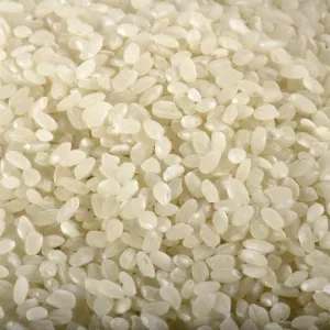 25kg white round rice - RIZ DU MONDE