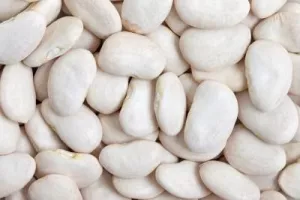 Lima USA 25kg Green Bean - LÉGUMOR
