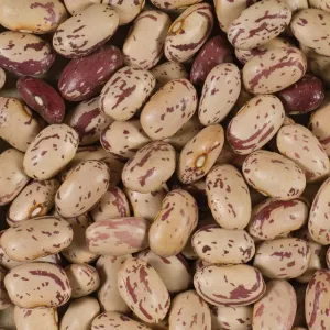 Hoa Hồng Cocos 25kg - LÉGUMOR