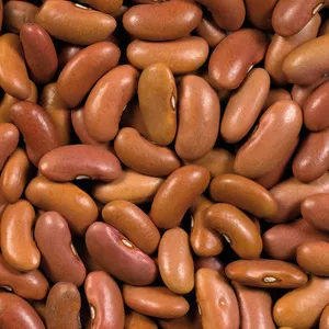 Fagioli Rosa 25kg - LÉGUMOR