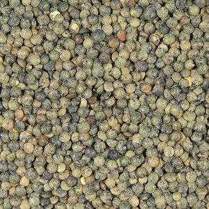 Lentilles Vertes France 25kg - LÉGUMOR