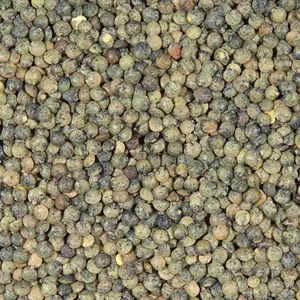 Lentilhas Verdes Canadá 25kg - Legumor