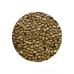Feveroles 1kg - LÉGUMOR